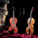 99 - Violini